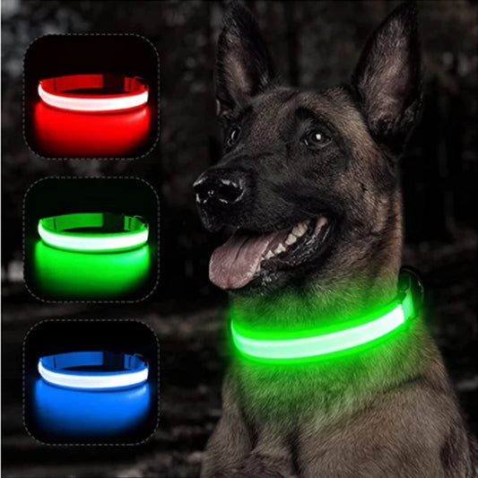 Pet Collar That Glows in The Dark