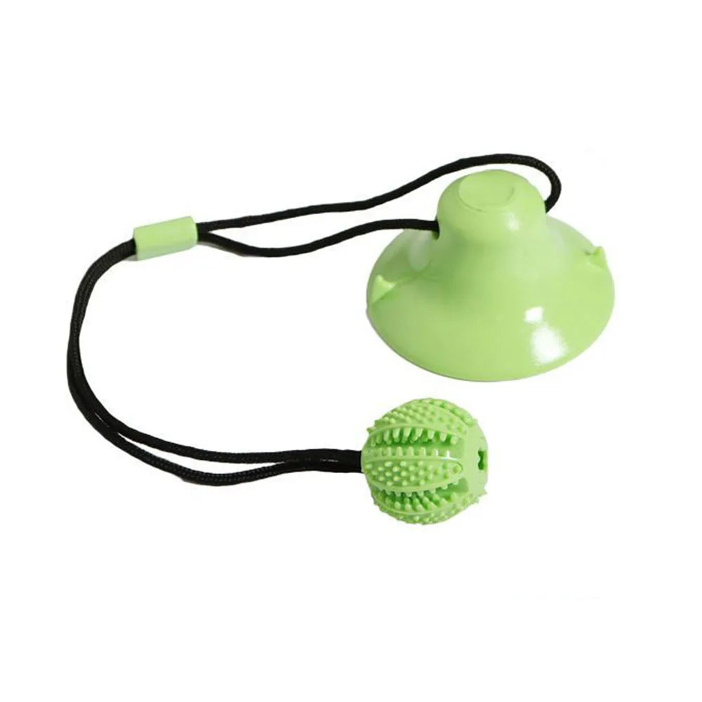 Pet Ball Educational and Interactive Toy