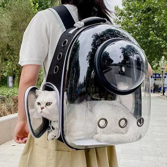 Pet Backpack