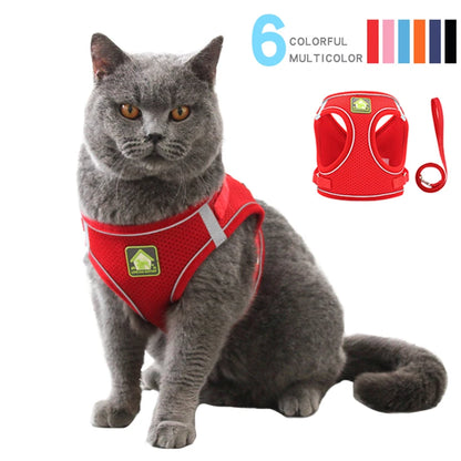 Chest collar for cat