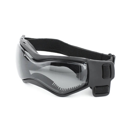 Protective Glasses for Dogs